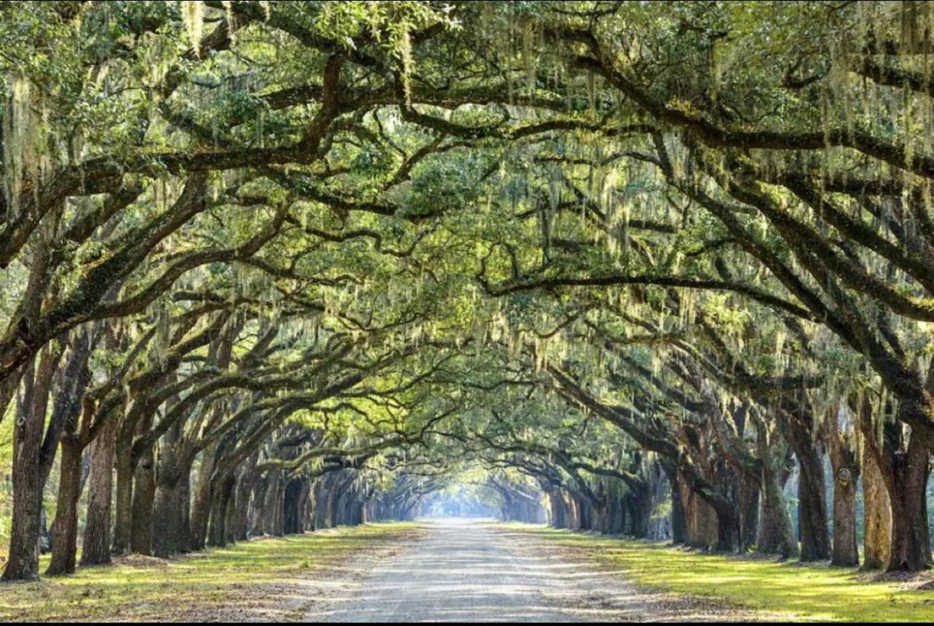 5Min To River Street, Dt - Spacious - Free Parking Savannah Exterior photo