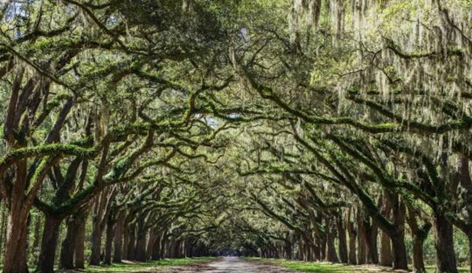 5Min To River Street, Dt - Spacious - Free Parking Savannah Exterior photo